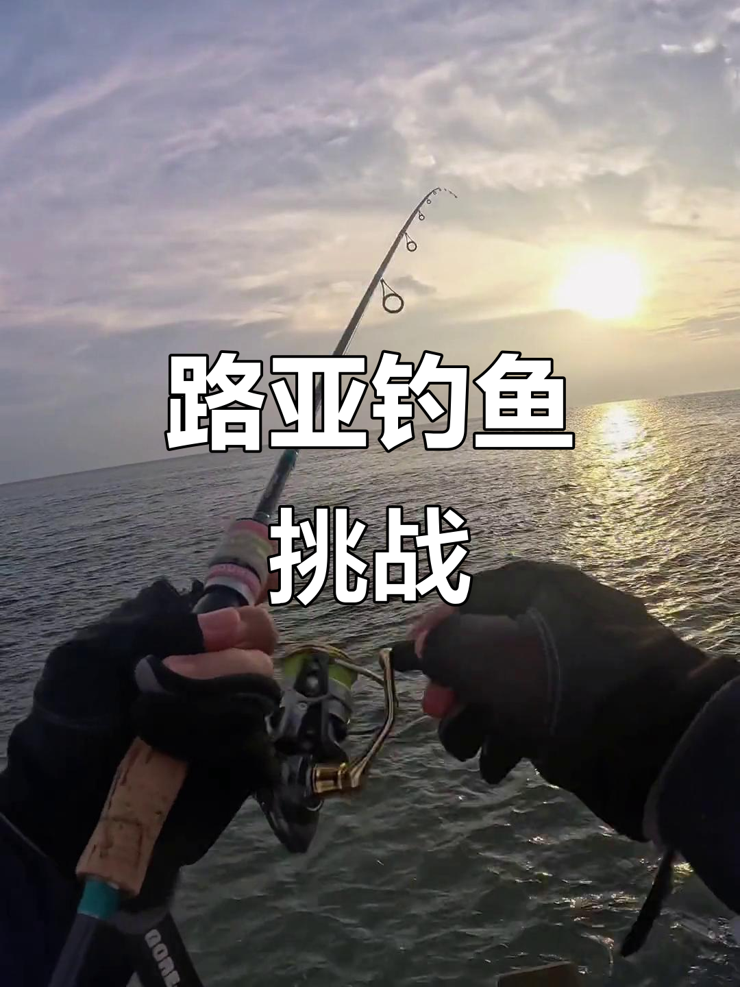 路亚竿钓黑鱼的技术(路亚竿钓黑鱼视频教程)