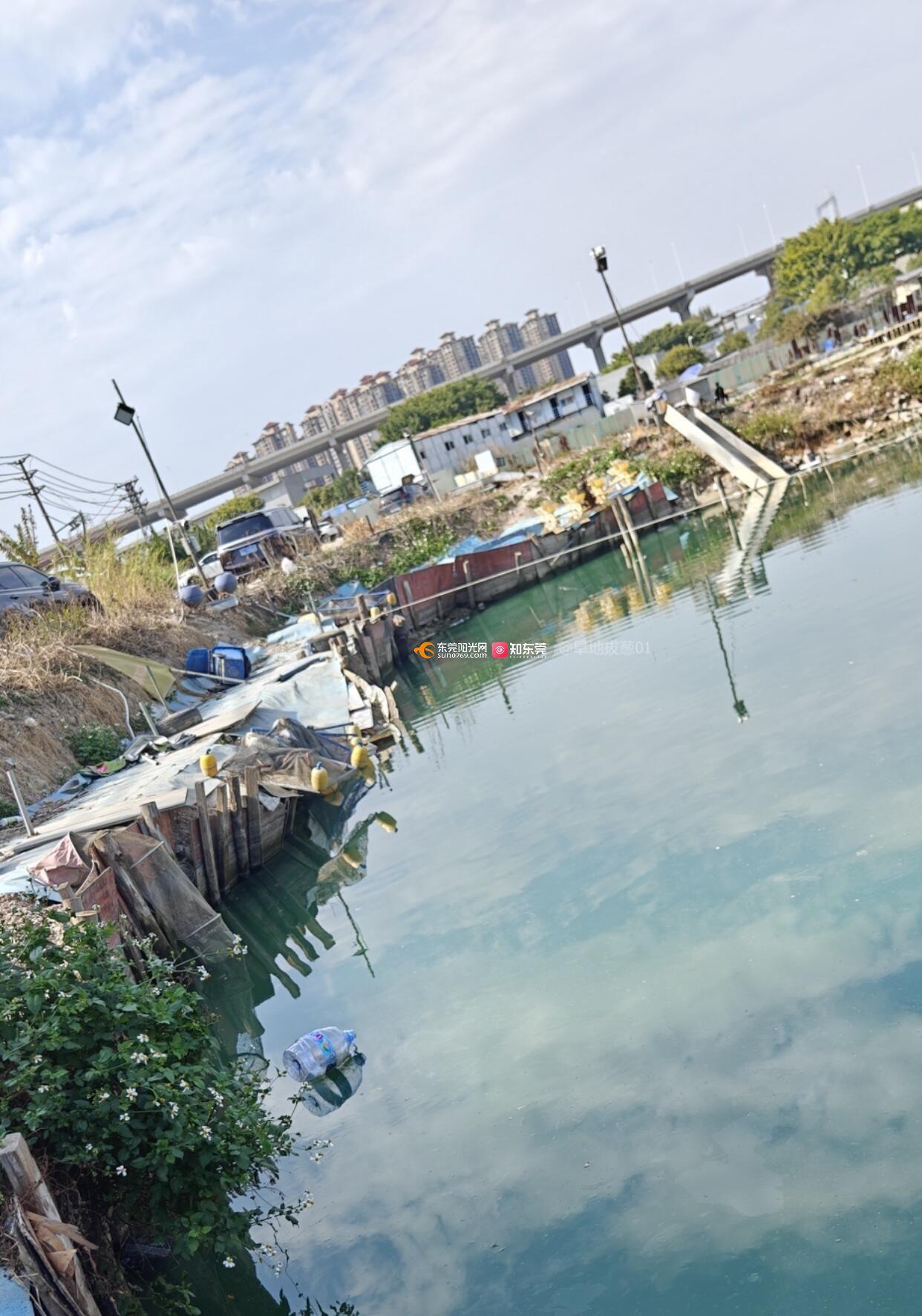 东莞海钓鱼场(东莞海域钓鱼场农庄)