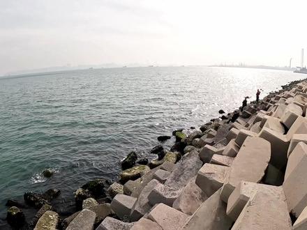 大连海钓的好地方(大连近海钓鱼)