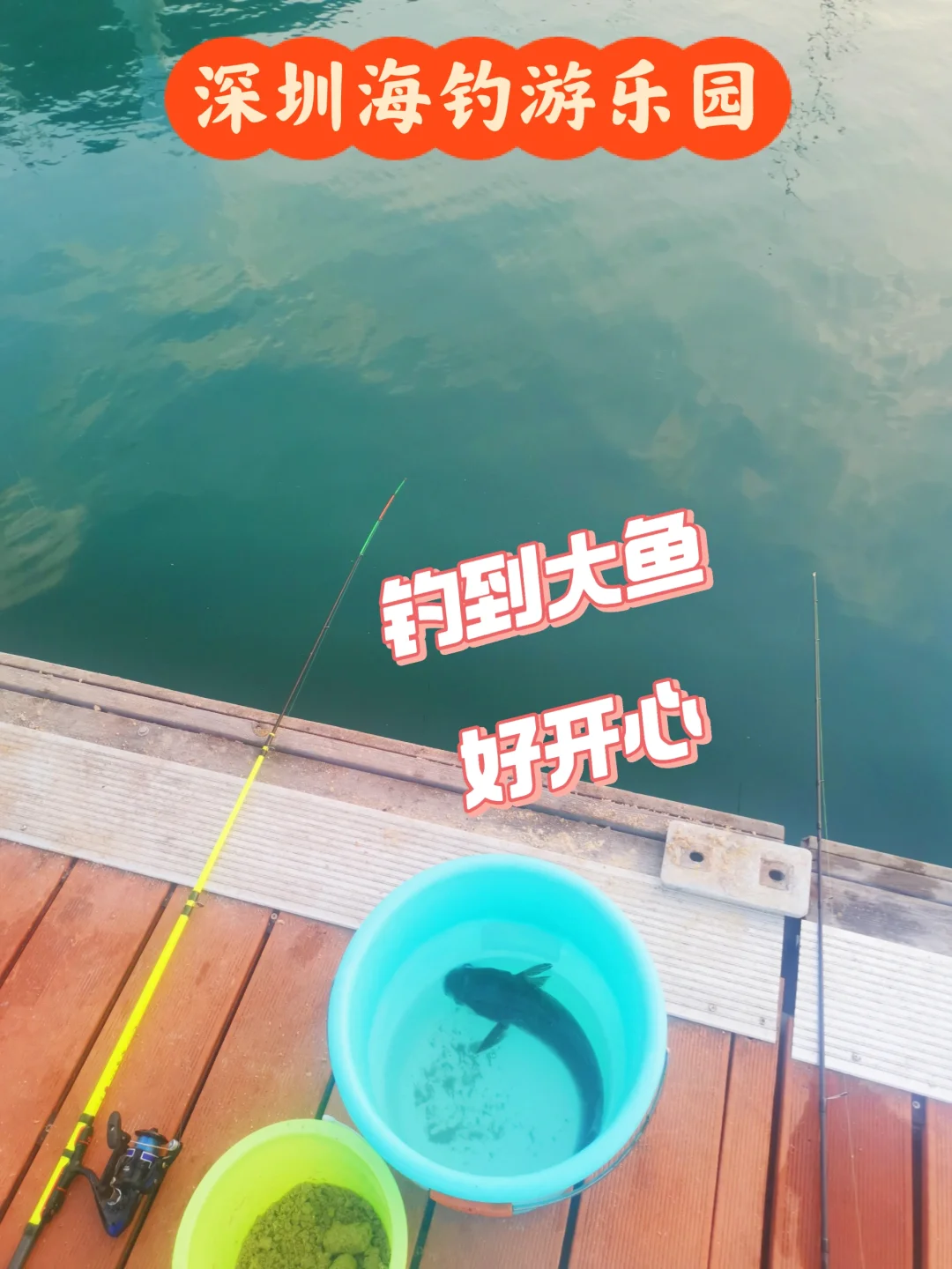 深圳海钓时间表(深圳海钓地点大全)