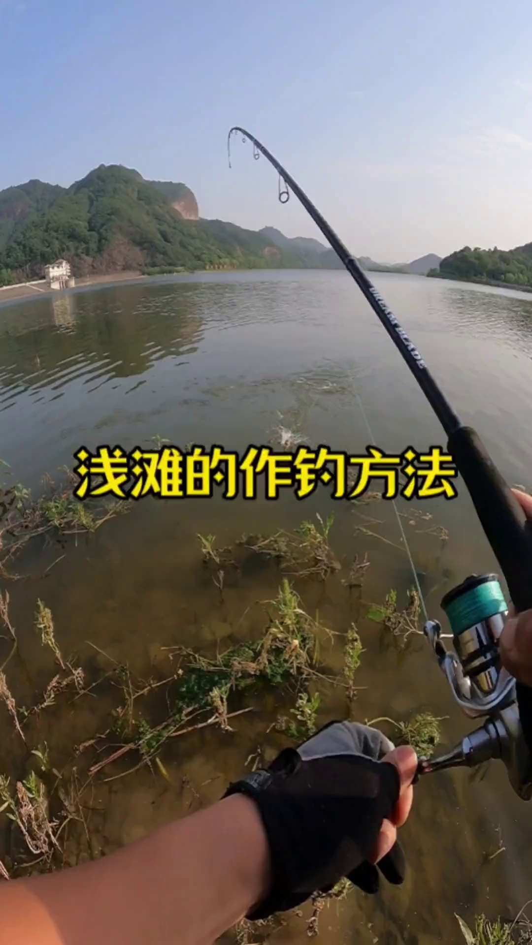 如何路亚红尾(路亚红尾视频)