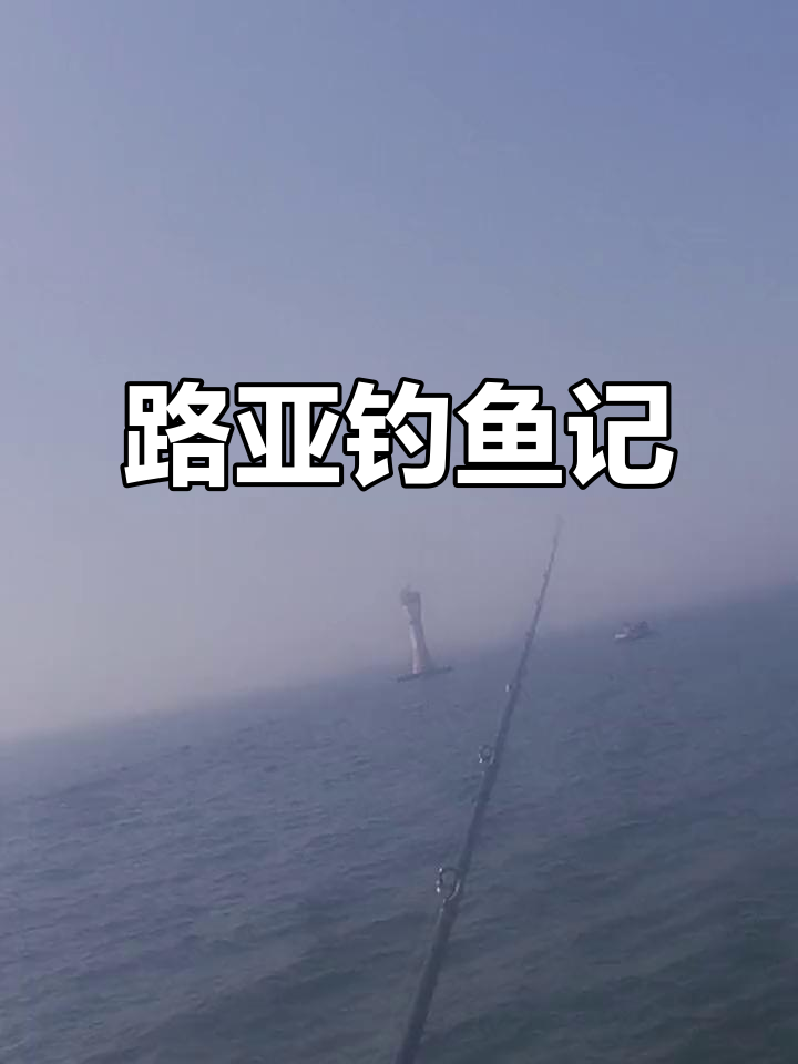天津海钓鲈鱼地点(天津哪里有钓鲈鱼的地方)
