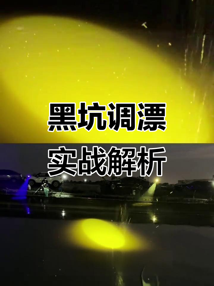 黑坑如何抢鱼技巧(黑坑如何抢鱼技巧图解)