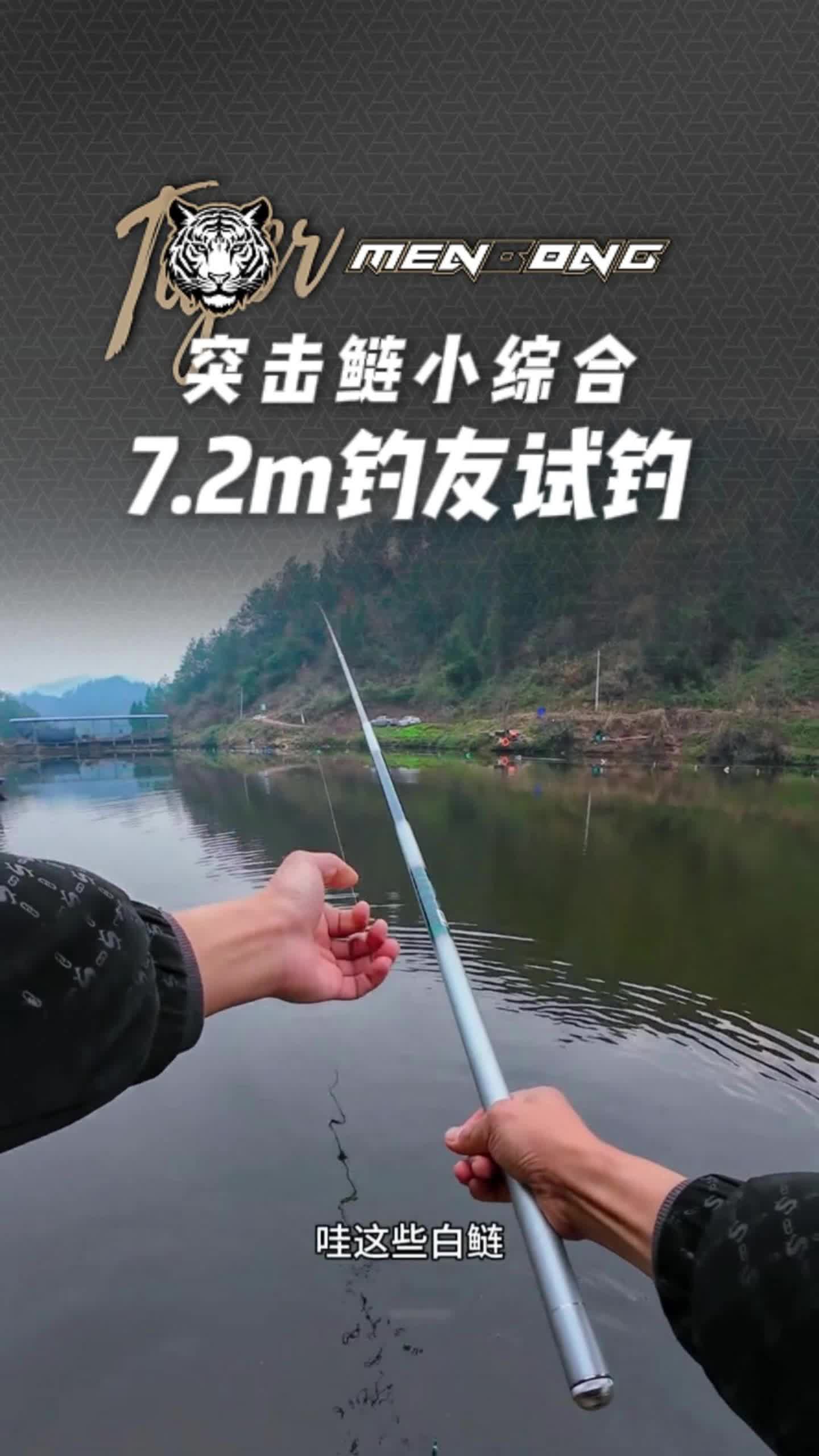 春季钓鲢鱼技巧视频(春季钓鲢鱼技巧视频讲解)