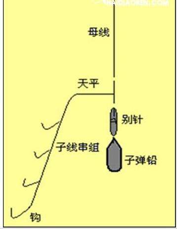 有几种海钓方法(有几种海钓方法视频)