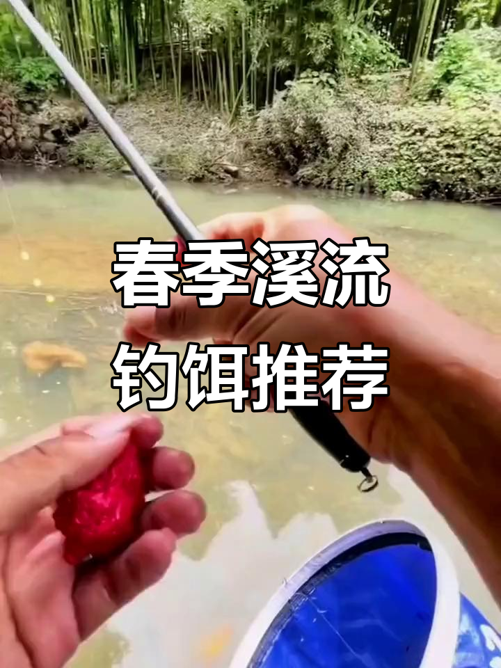 初春野钓饵料(初春饵料搭配)