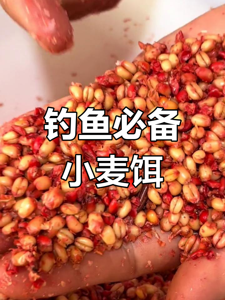 饵料避小鱼(用什么饵料可以避免小鱼)