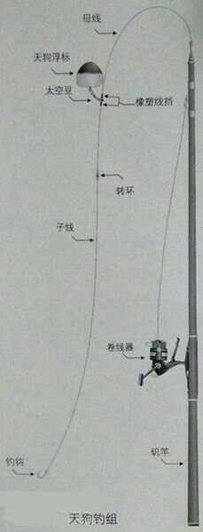 偏口鱼海钓线组图解(梅州钓鱼线组图解)