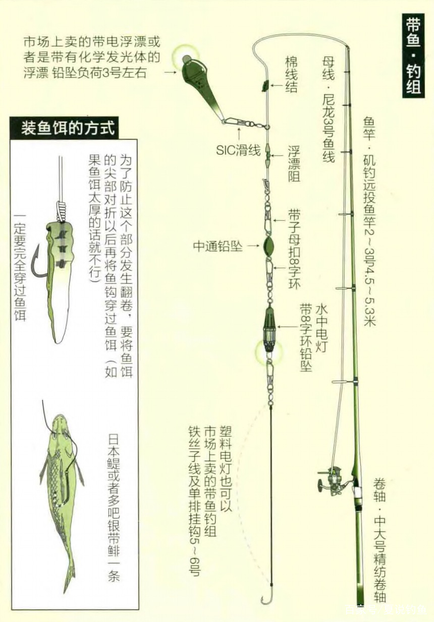 偏口鱼海钓线组图解(梅州钓鱼线组图解)
