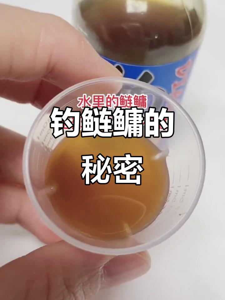 酸臭饵料制作(酸臭饵料能钓鲤鱼吗)