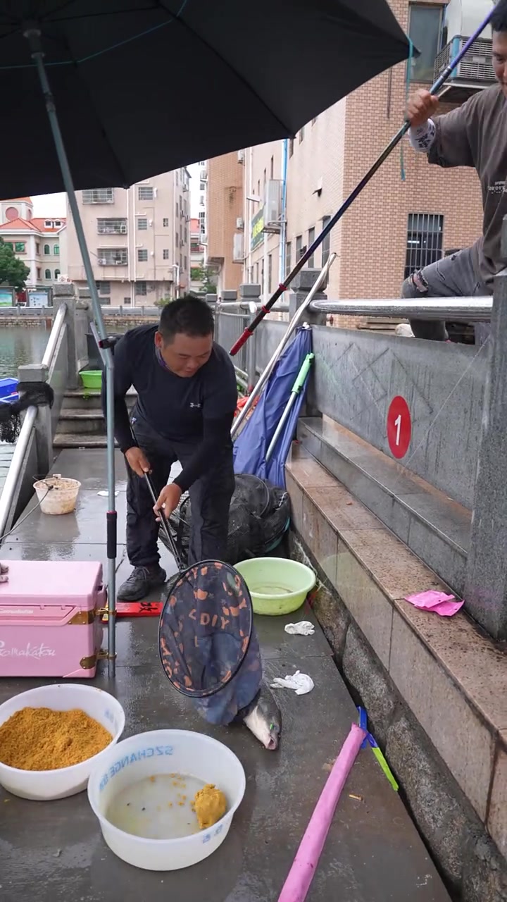 冬季大棚钓罗非技巧(冬季大棚垂钓)
