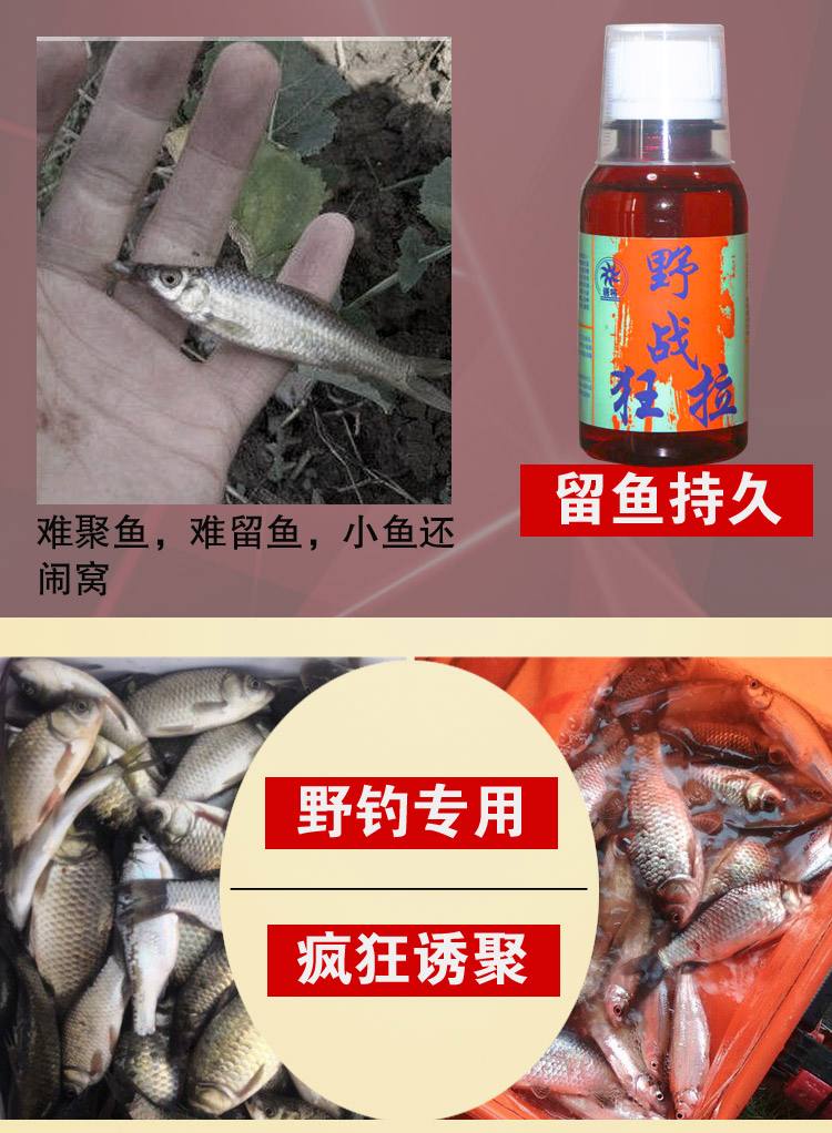 野战板鱼饵料(野钓大板鲫饵料)