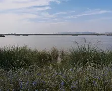 江心洲路亚当涂(马鞍山江心洲一日游)