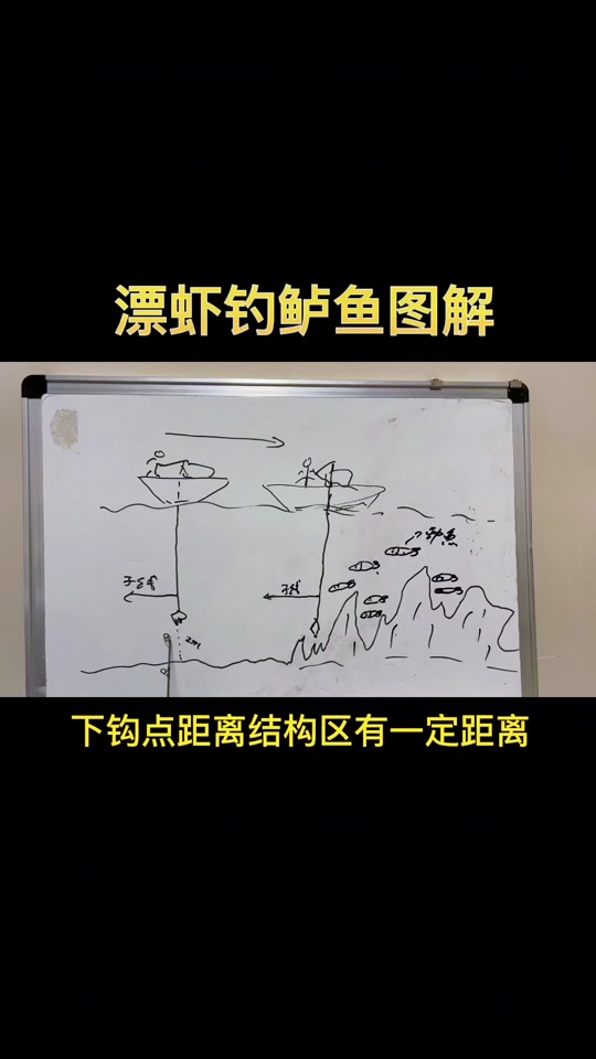 海岸钓鲈鱼的技巧(海岸钓鲈鱼的技巧图解)