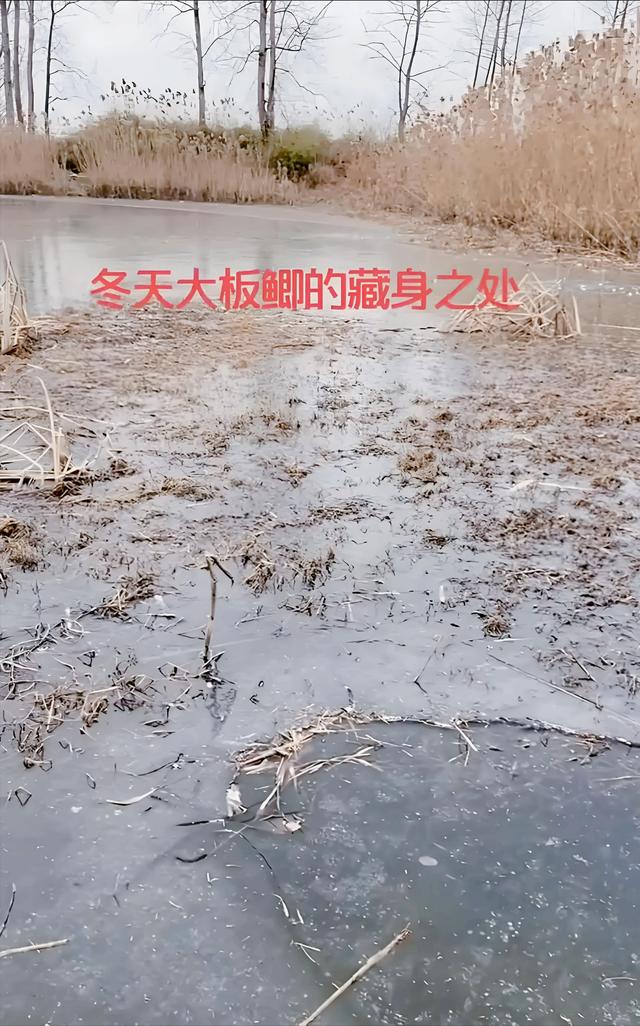 冬天电鱼技巧(冬季电鱼电流应该调大还是调小)