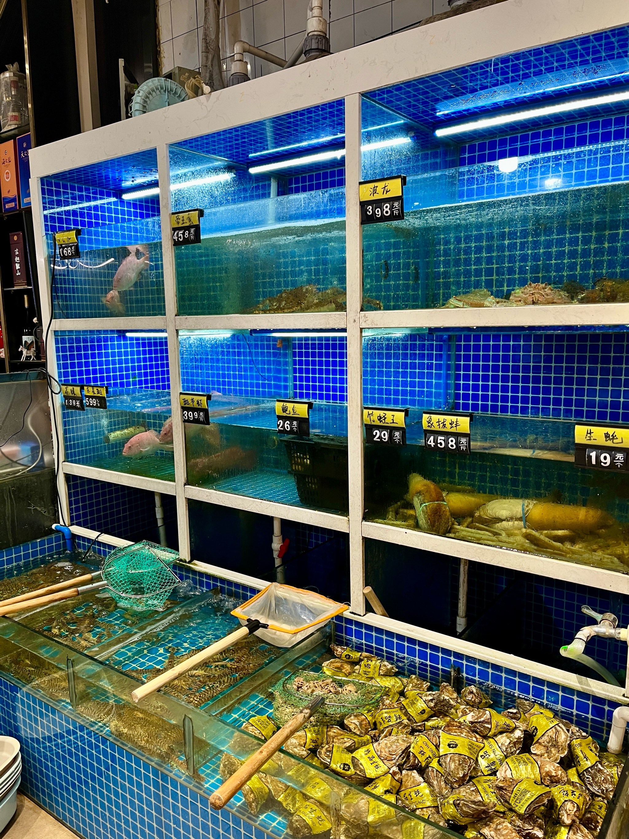上海市浦东渔具店(上海市浦东渔具店电话)