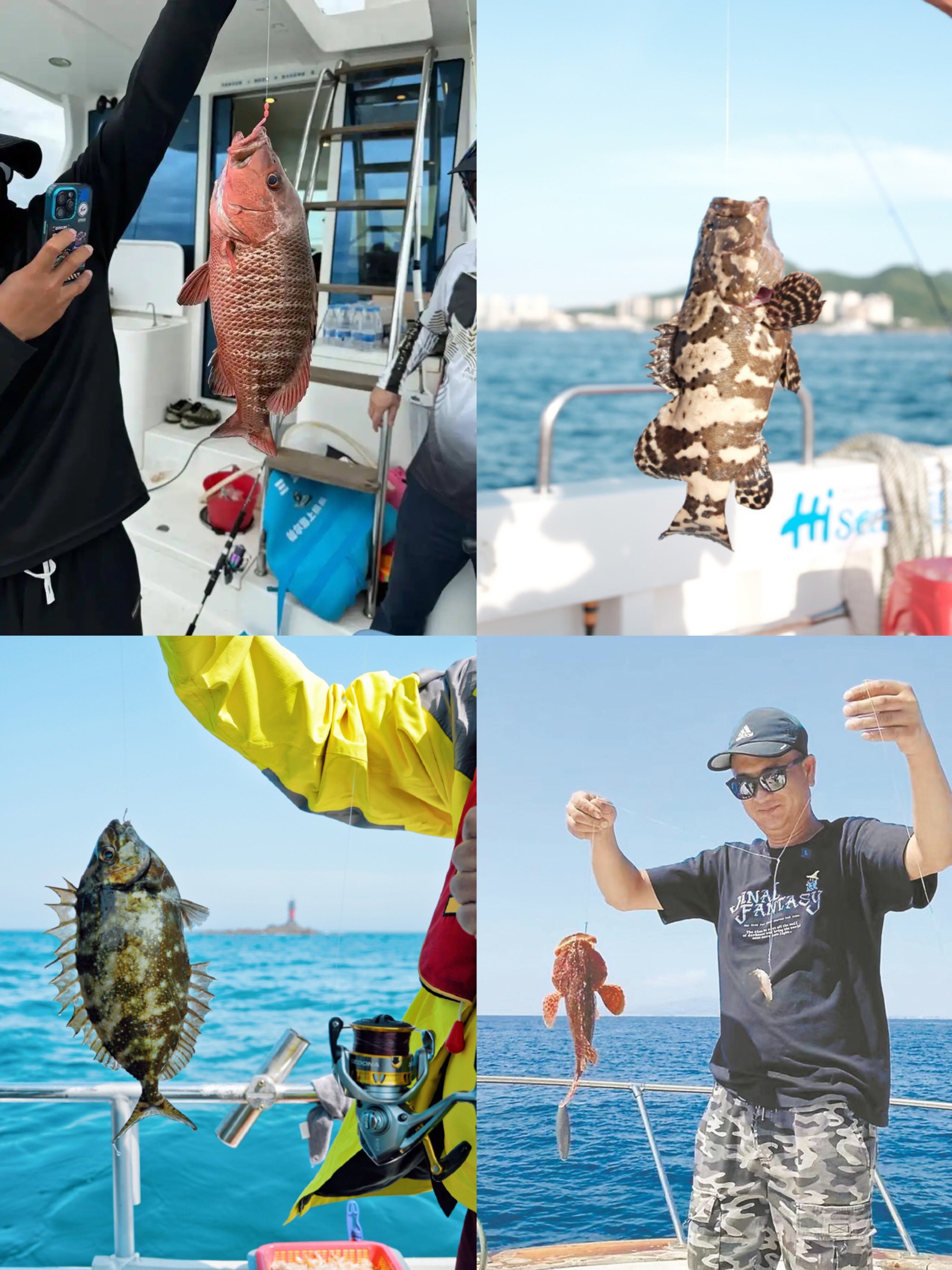 深圳赶海海钓(深圳可以赶海的渔村)