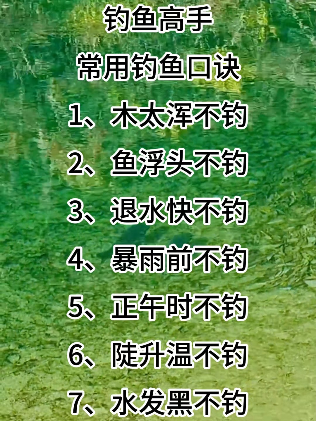 在池塘钓大鱼技巧(池塘如何钓鱼)