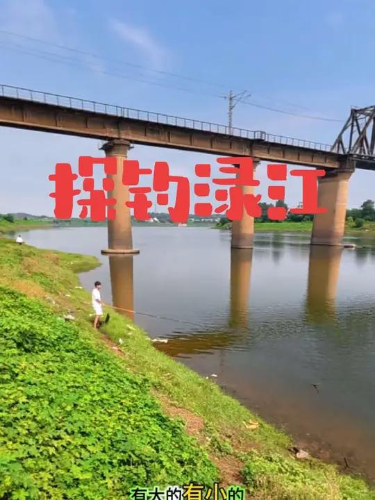 湘江野钓技巧(江河野钓技巧大全)