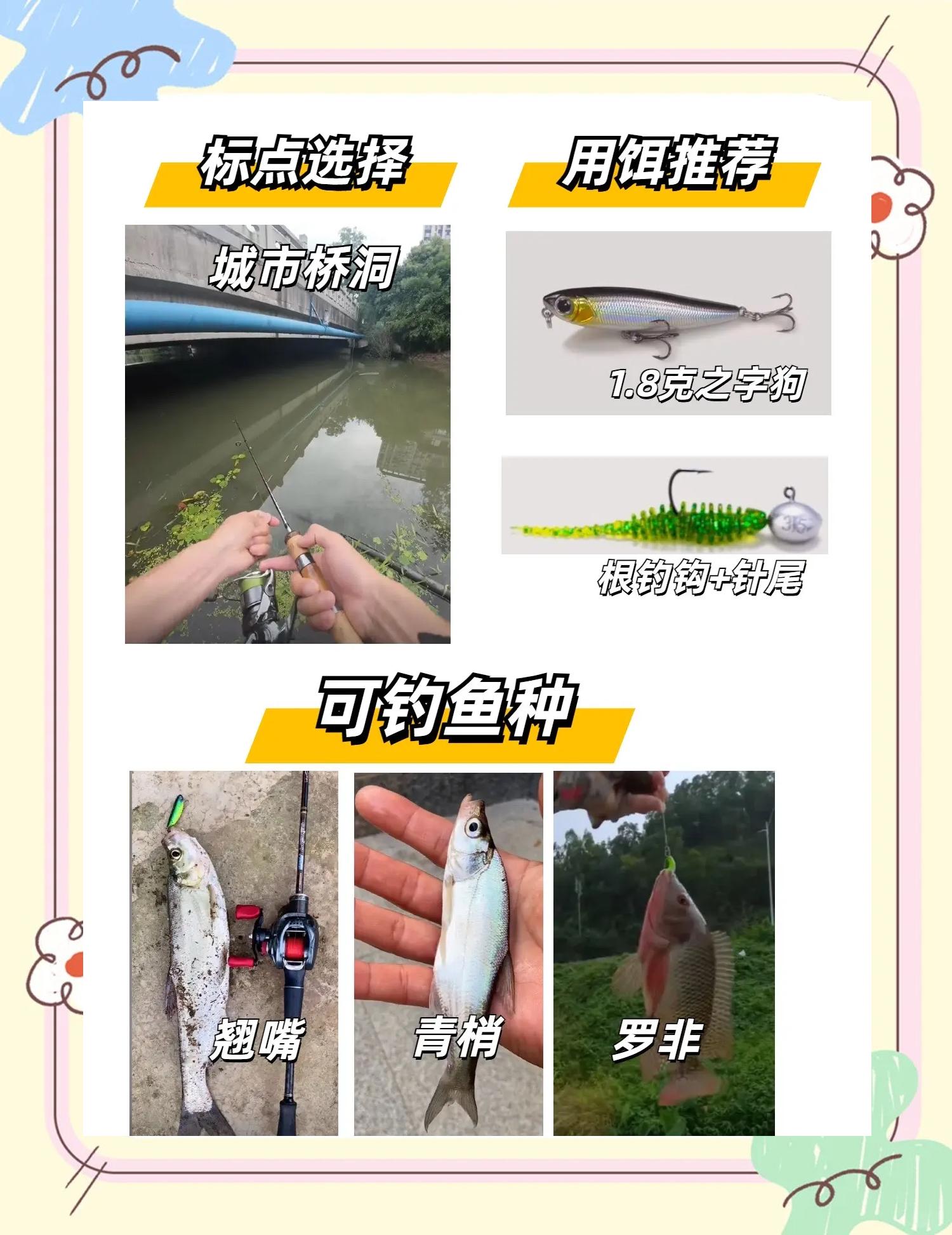 怎么使用路亚(怎么使用路亚钓鱼)
