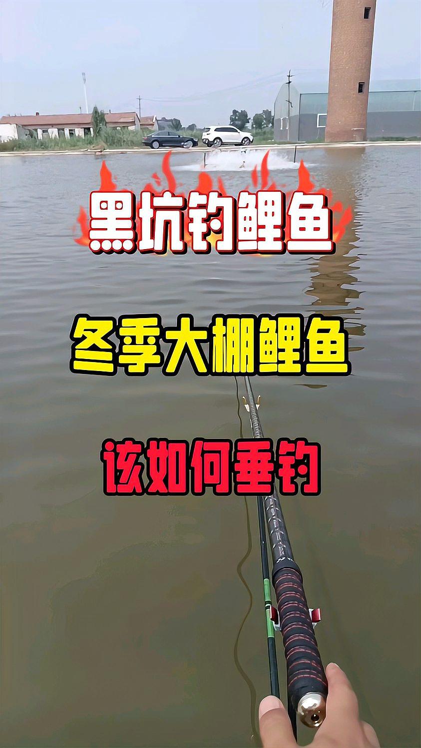 大棚钓鱼扣坑技巧(大棚钓鱼扣坑技巧视频)