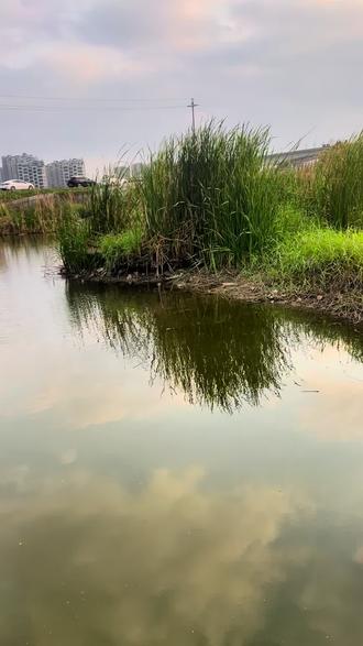 路亚钓野河(路亚 河钓)