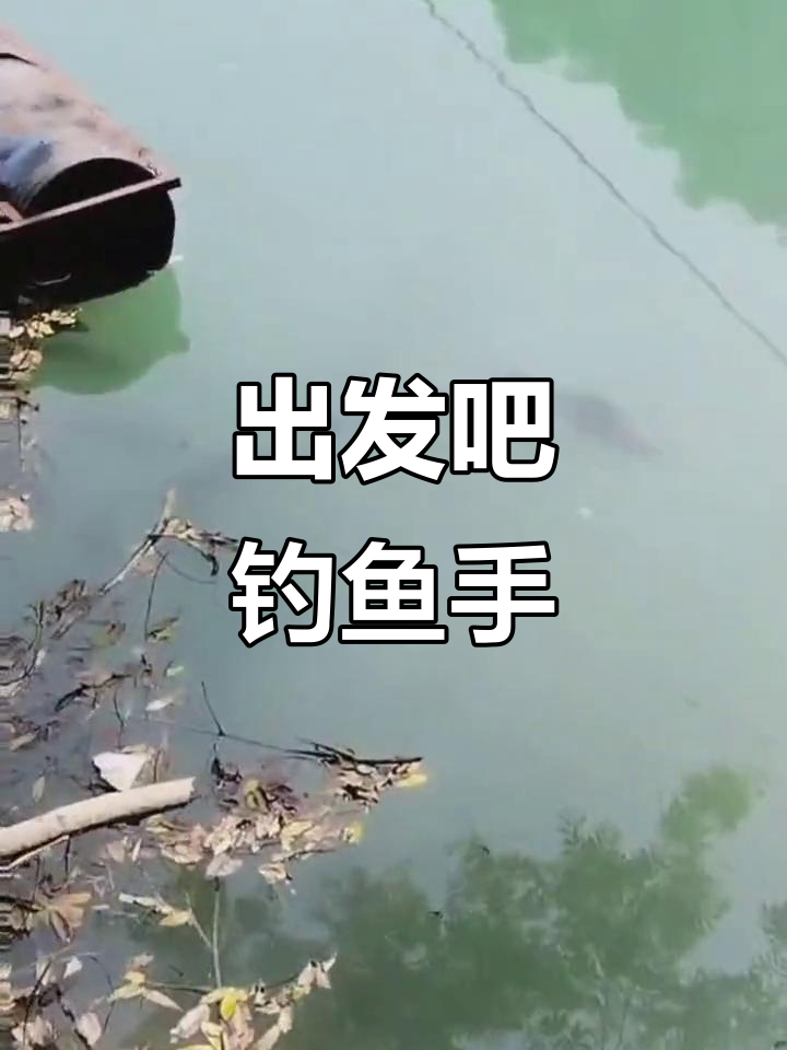野河钓鱼技巧视频下载(野河钓大鱼视频)