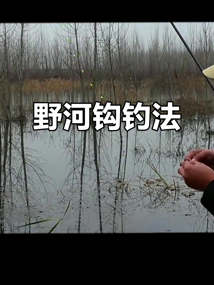 野河钓鱼技巧视频下载(野河钓大鱼视频)