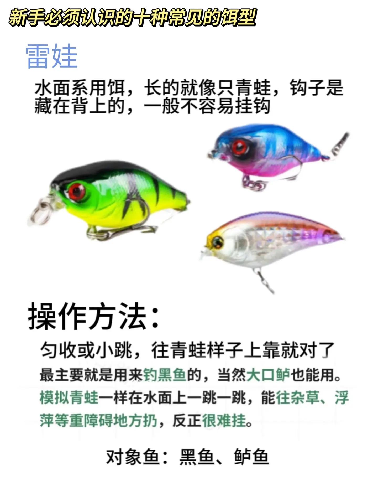 饵料结构(饵料原理)