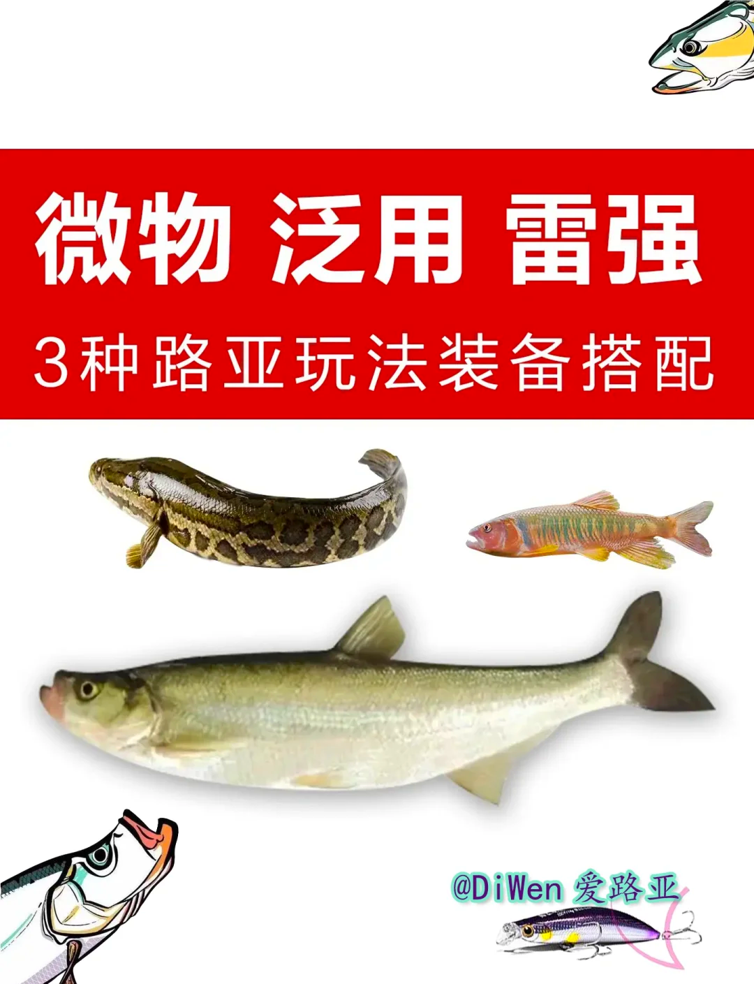 路亚调性饵(路亚竿调性鱼种)