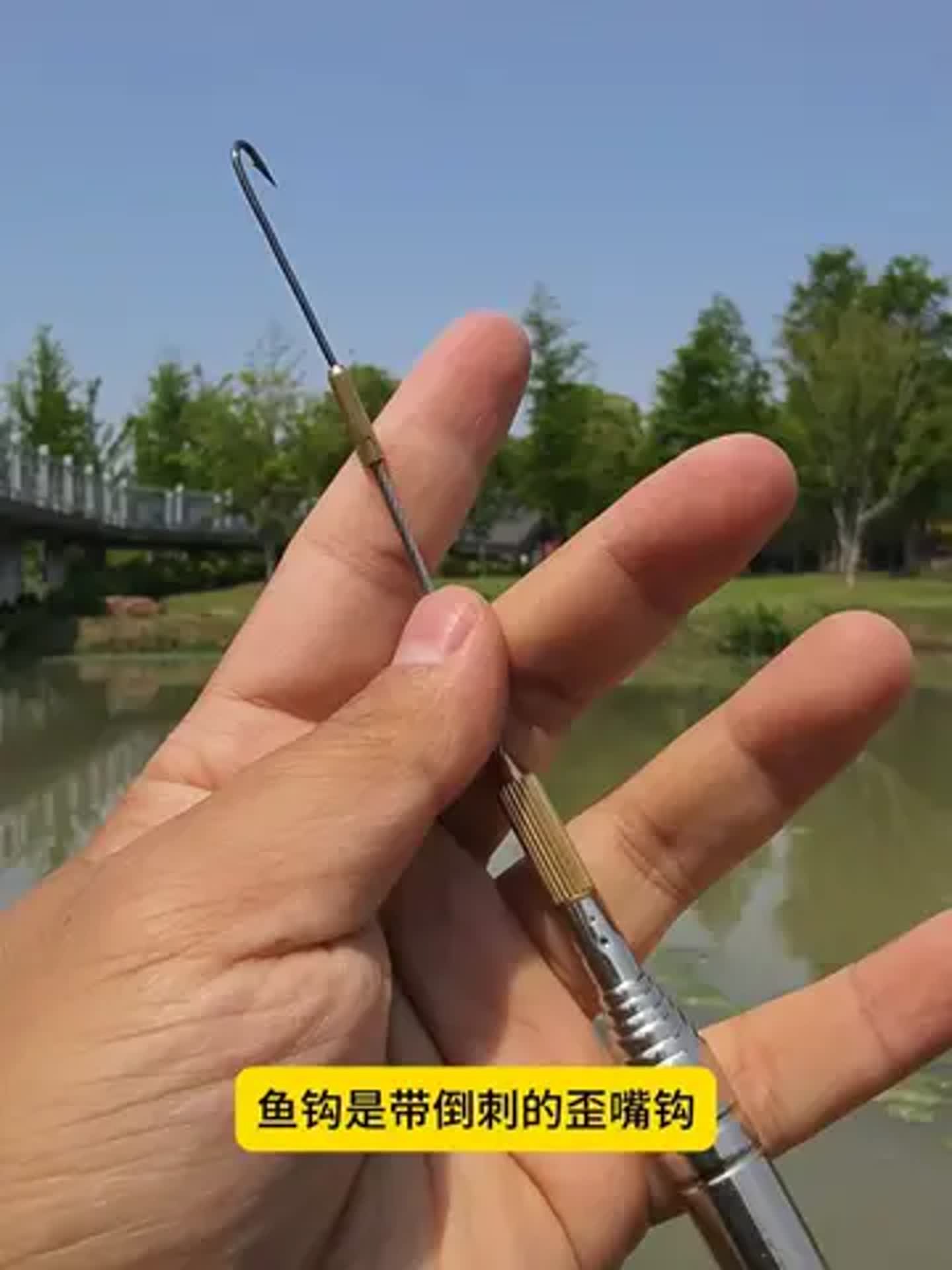 钓淡水鰻技巧(手竿浮钓鲢鳙的6大技巧)