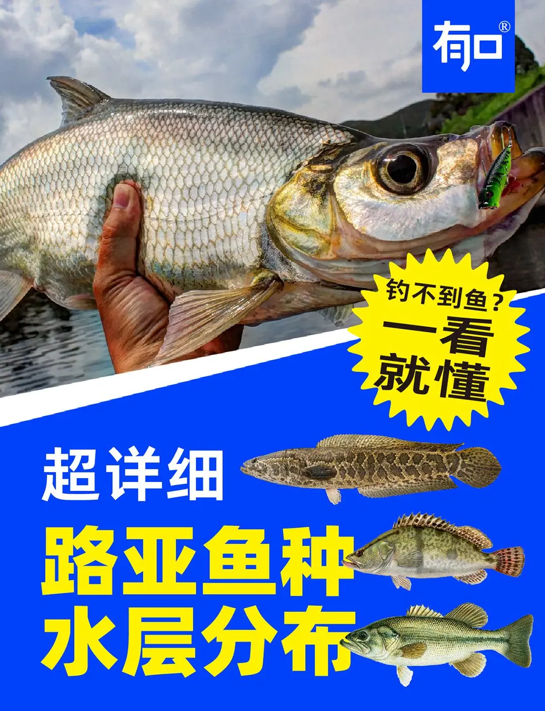 青岛路亚资源(青岛 路亚)
