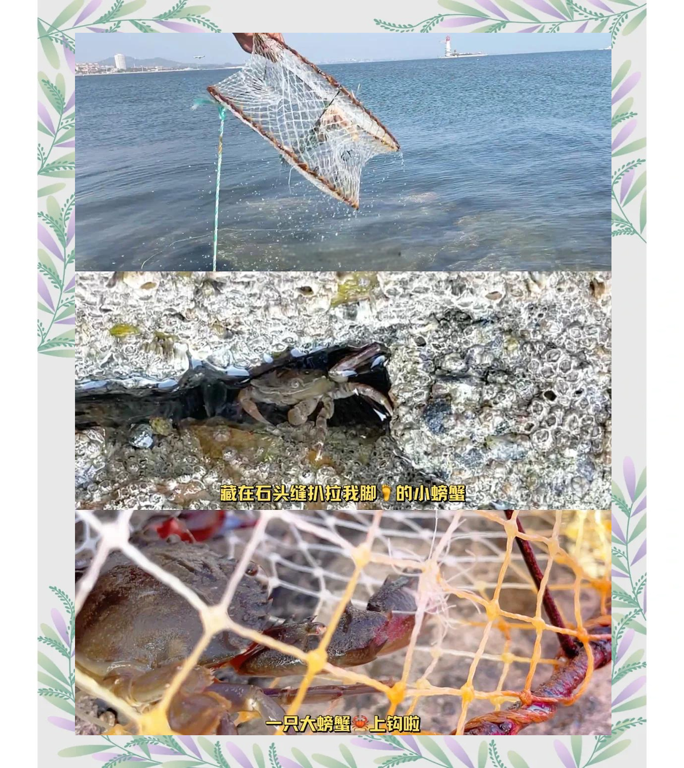 水库钓螃蟹技巧(水库钓螃蟹技巧图解)