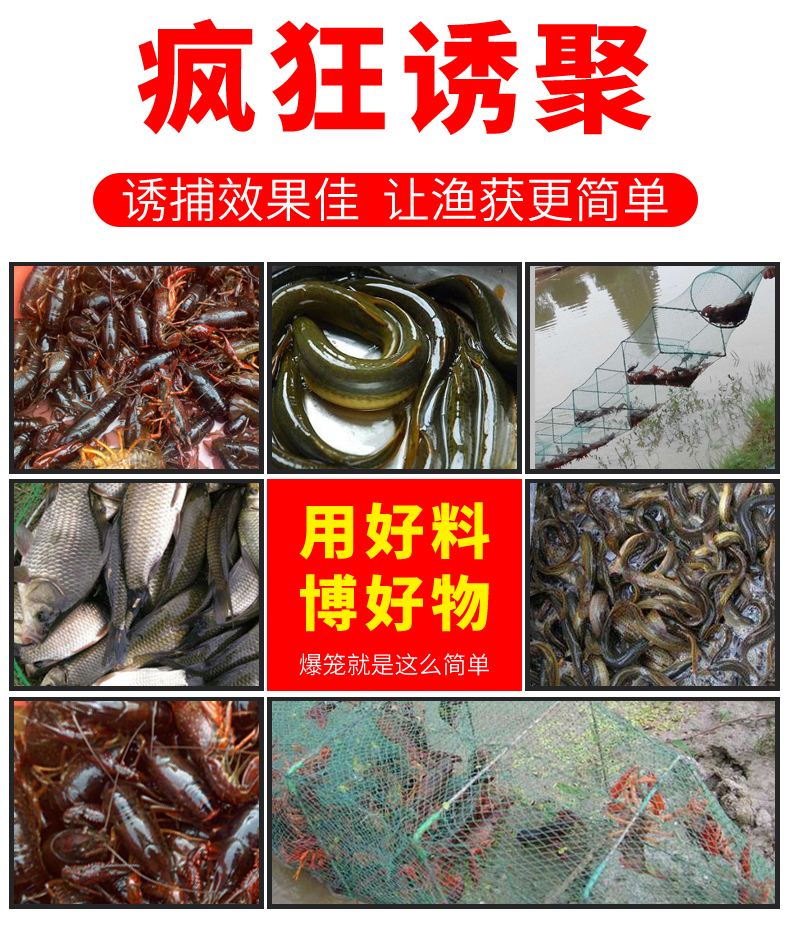 抓河蟹用什么饵料(抓河蟹用什么饵料好钓)