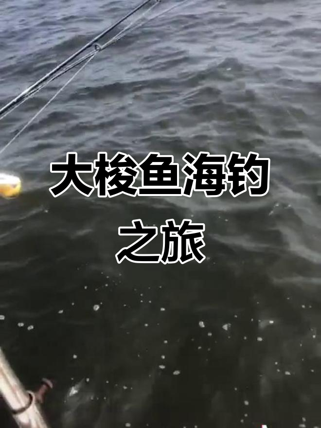 海钓春季如何钓梭鱼(海钓春季如何钓梭鱼呢)