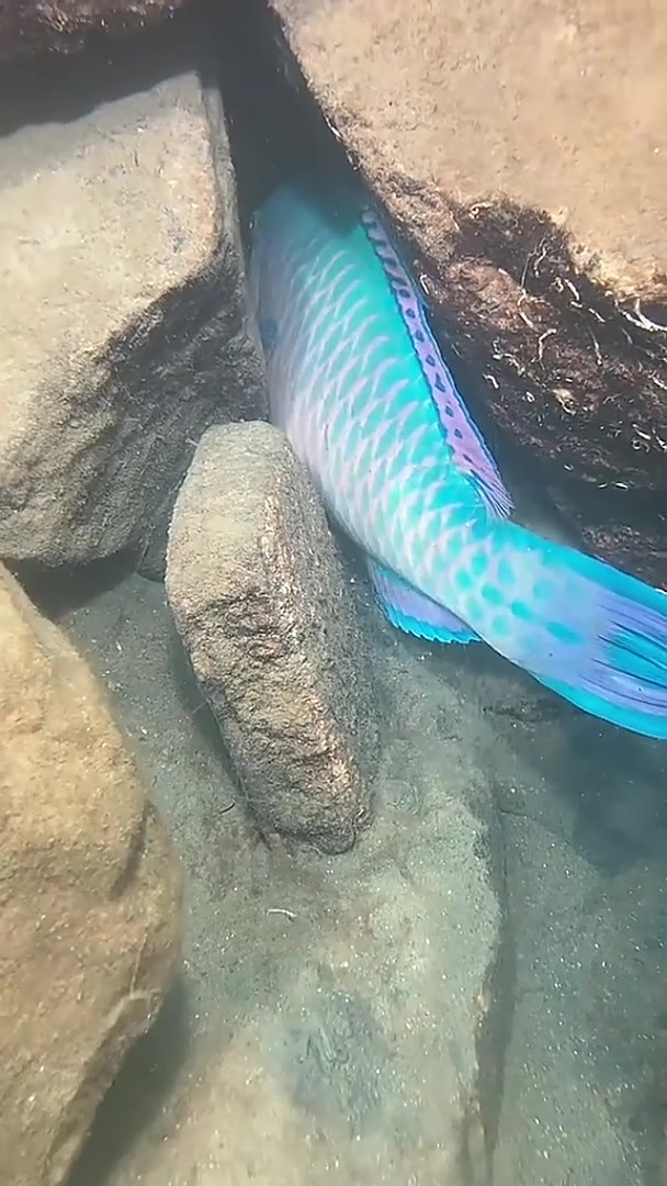 海钓收获照片(海钓实拍)