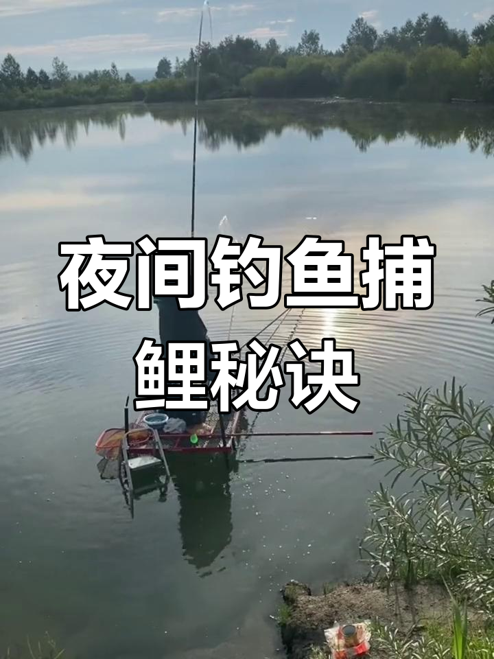 夏天夜钓鱼技巧(夏天夜钓需要注意什么)