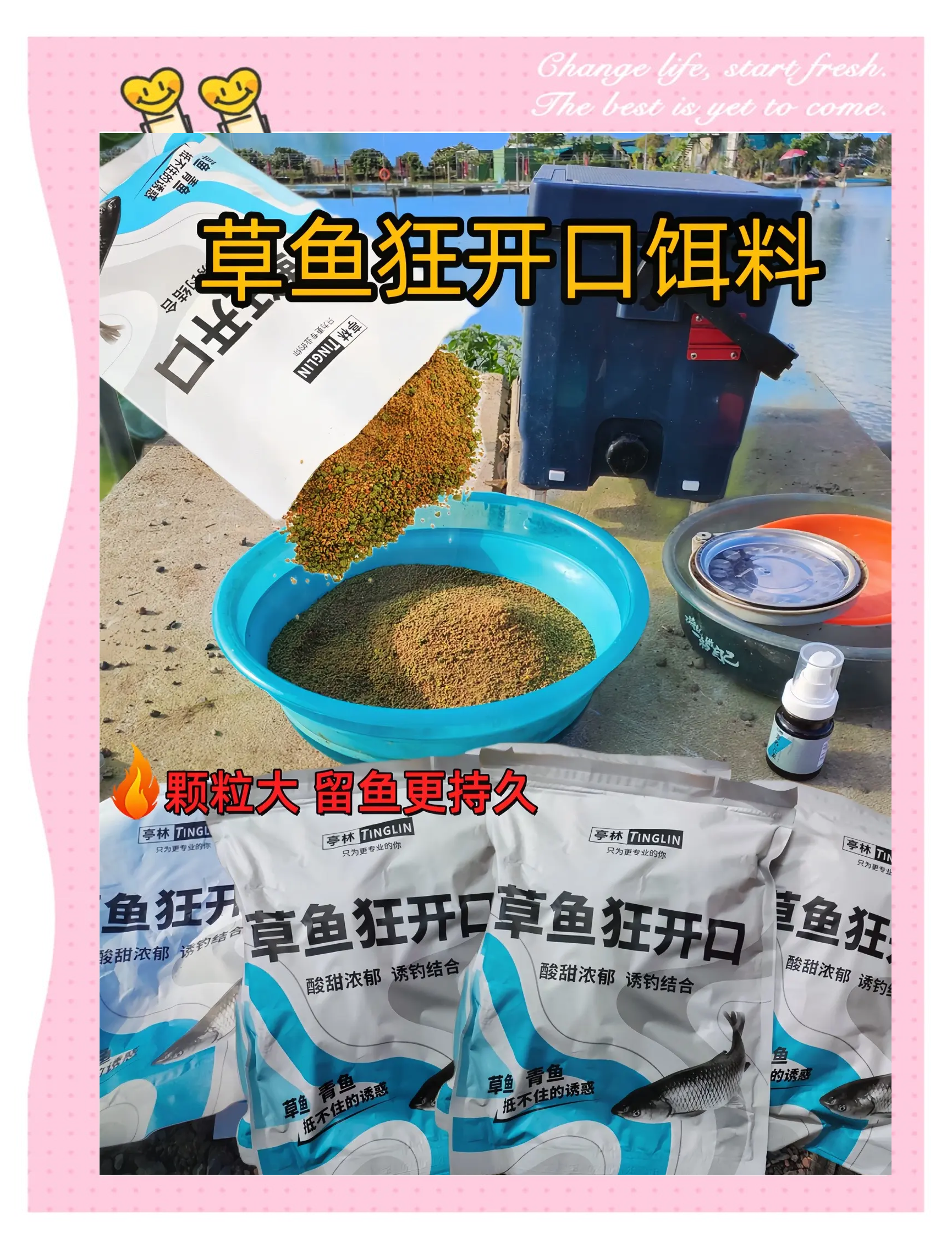 钓草鱼怎么窝饵料(怎样钓草鱼用什么饵料)