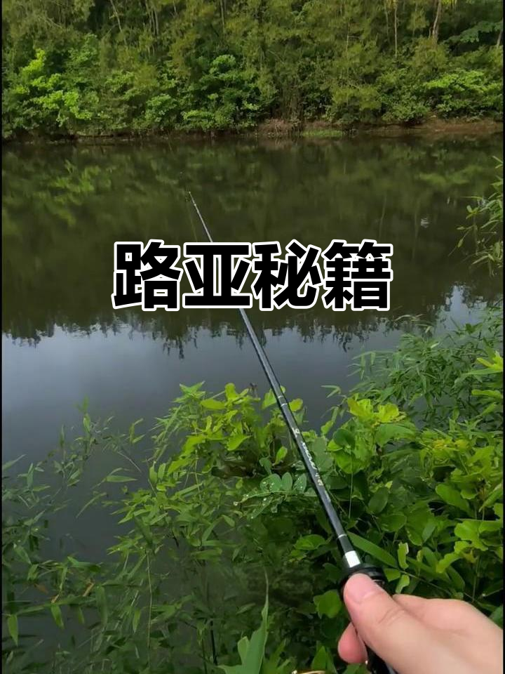 路亚提竿时机(路亚提竿刺鱼的手法图示)