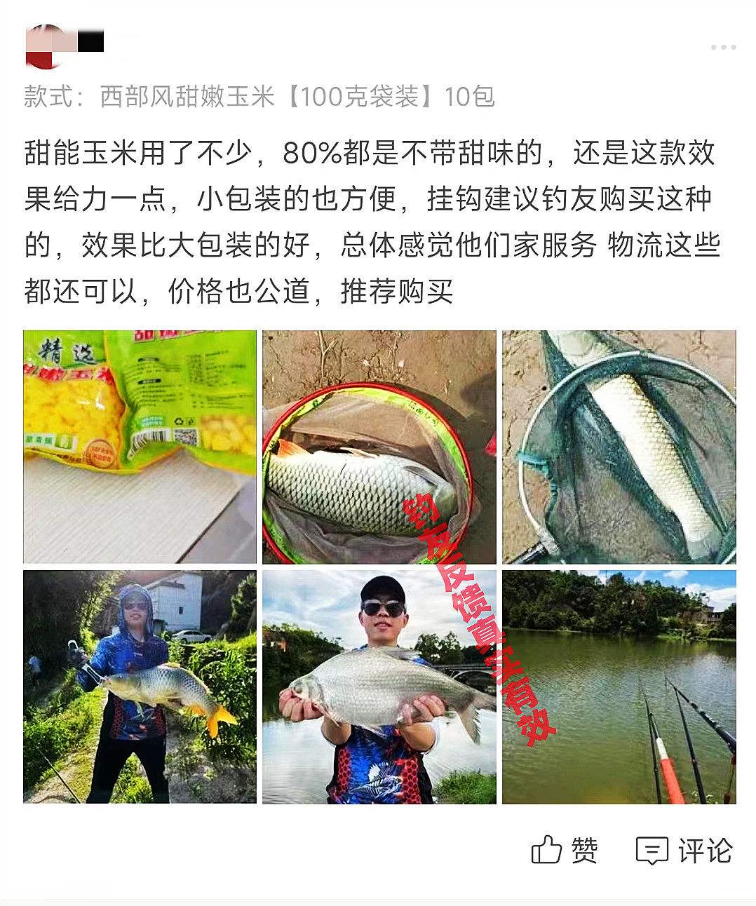 水稻加玉米饵料(水稻加玉米饵料好吗)
