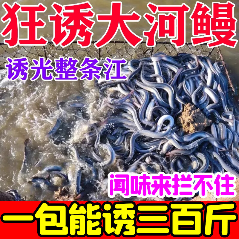 鳗鱼饵料做法(鳗鱼饵料配方)