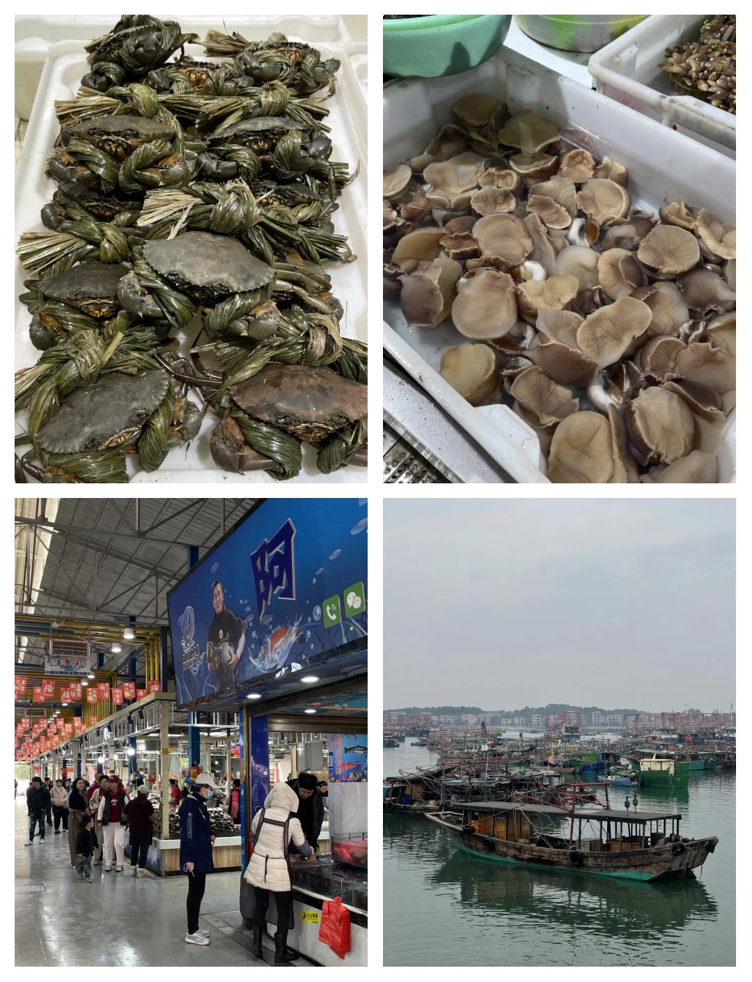企沙港海钓(三种海钓的万能钓饵)