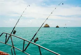海钓东油位置(东海油田海钓装备)
