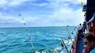 海钓东油位置(东海油田海钓装备)