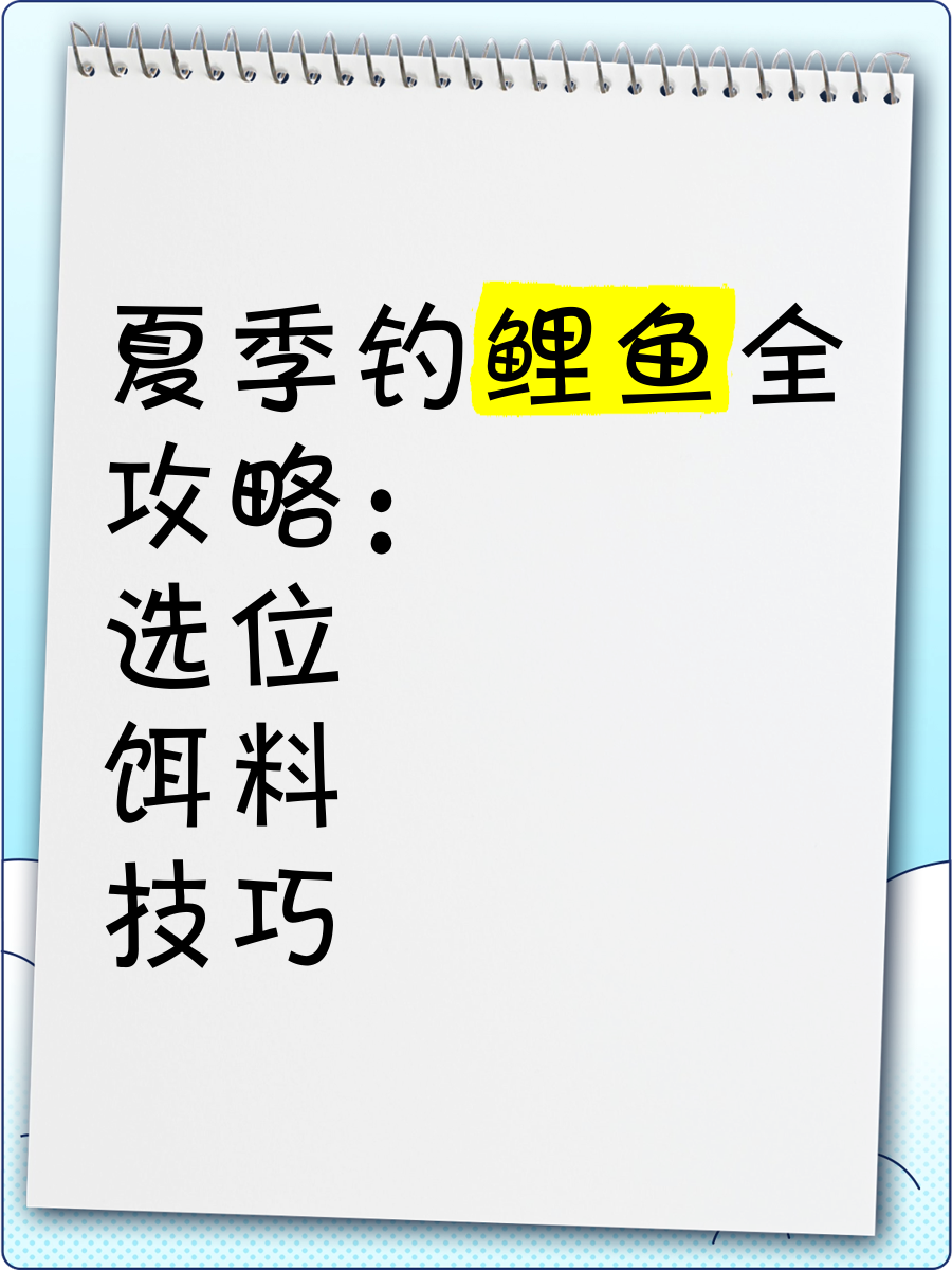 钓鱼上鱼饵技巧(钓鱼上饵料的方法)