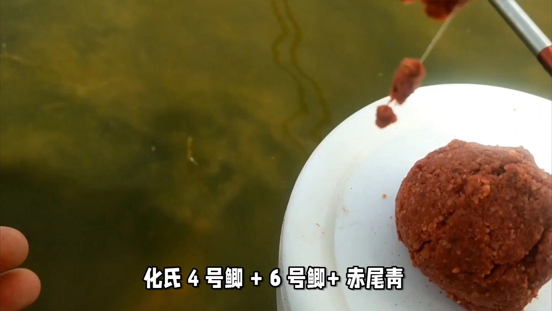 钓翘嘴饵料搭配(钓翘嘴诱饵)