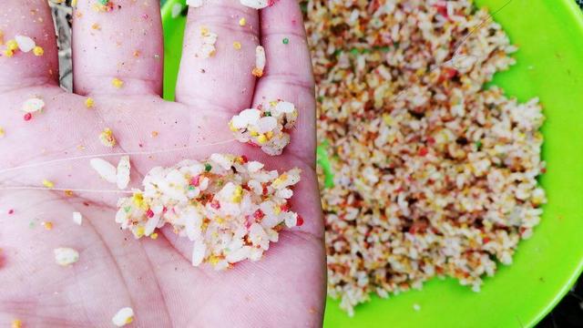 米饭饵料(米饭饵料秘方大全)