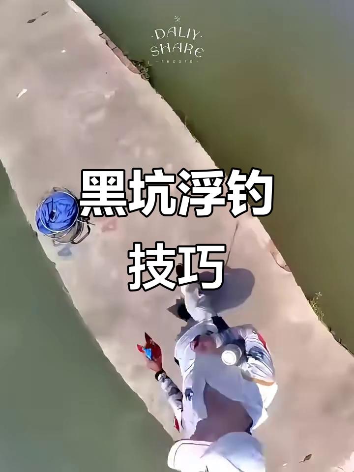 黑坑钓鲤鱼聚鱼技巧(黑坑鲤鱼垂钓技巧)