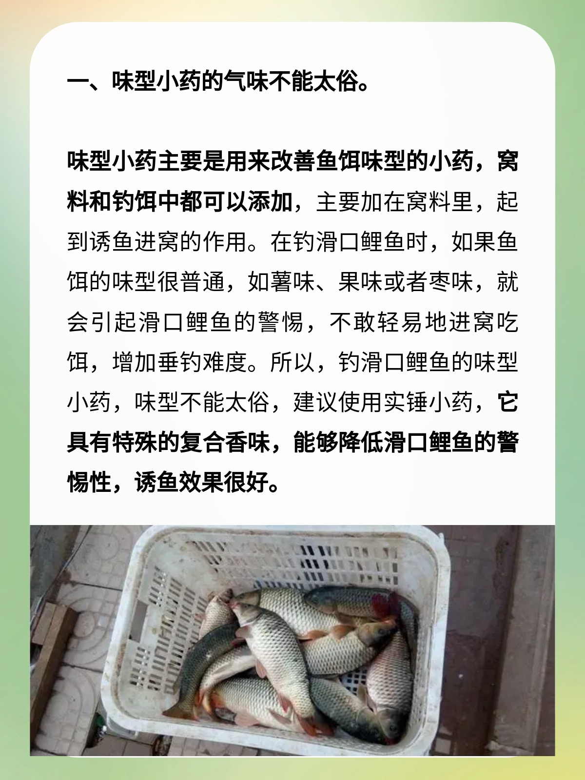 养殖塘黑坑钓鱼技巧(鱼塘黑坑经营技巧)
