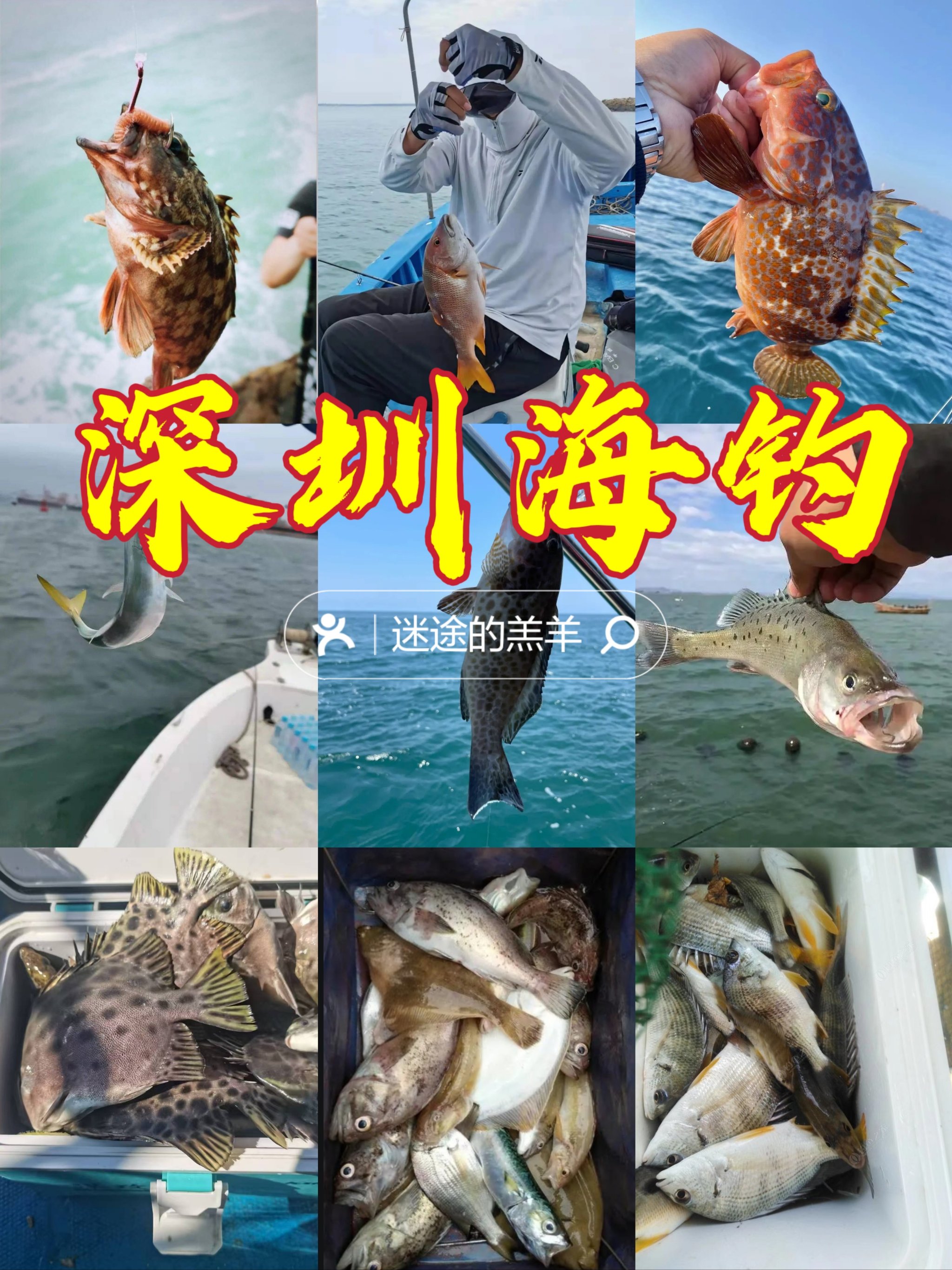 海钓要去几天(海钓时机)